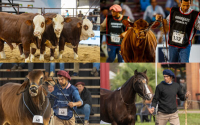 Las NACIONALES 2026 se preparan para una semana de genética y grandes negocios