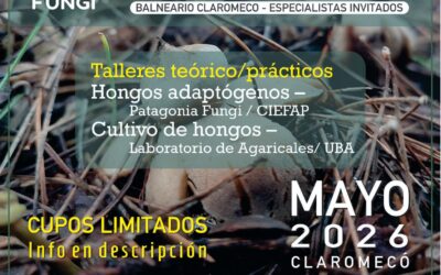 El fascinante mundo de los hongos se da cita en Claromecó Fungi 2026