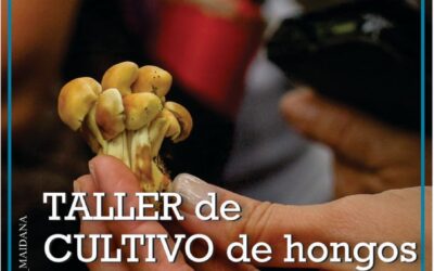 El Reino Fungi se cita en Claromecó: ciencia y naturaleza para el próximo fin de semana largo