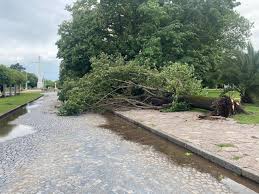 Hay alertas naranjas y amarillas en 8 provincias mientras el AMBA cuenta los daños tras el diluvio