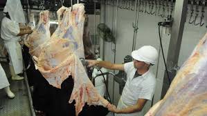 Récord y diversificación: el complejo bovino alcanzó niveles históricos de exportación