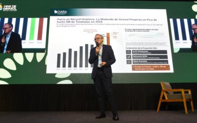 El girasol “es la estrella” pero enfrenta desafíos para consolidar su crecimiento