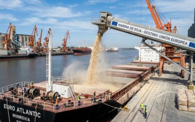 La soja HB4 en el centro de la escena: detectan trazas en Europa en tres cargamentos de harinaproducto de exportación