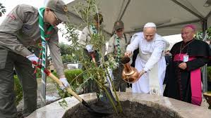 Tras las huellas de San Agustín, León XIV, en silencio y oración, entre los restos de Hipona