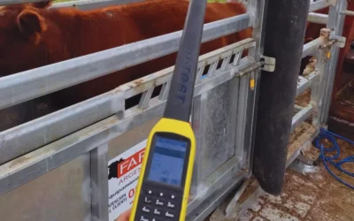 La identificación individual electrónica redefine la toma de decisiones