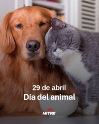 Compromiso y legado: Argentina celebra el Día del Animal con el foco en el bienestar integral