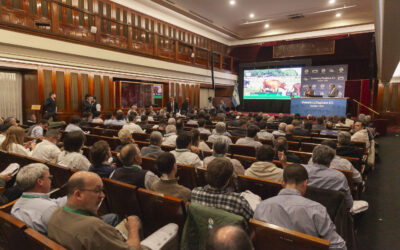 Remate récord en Banco Nación con más de 36.000 cabezas