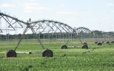 El Gobierno impulsa el riego para potenciar la producción agropecuaria