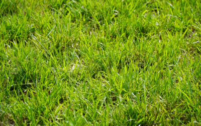 El valor del agua, uno de los ejes centrales del Simposio Regional Fertilidad 2026