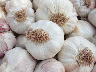 Brasil en alerta por el ajo argentino: denuncian competencia desleal y una crisis que golpea al campo