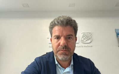 Advierten: La molinería en alerta amarilla porque no consigue abastecerse de trigo