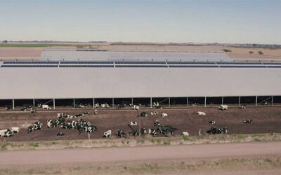 El Tour Lechero TodoLáctea propone la visita a dos tambos referentes de Córdoba