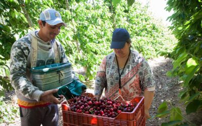 El RENATRE aumentó la Prestación por Desempleo a partir de mayo y alcanza el máximo de $382.45