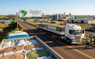 El «Efecto Alianza»: Por qué las legumbres pueden sellar el matrimonio agroindustrial definitivo entre Argentina y Brasil