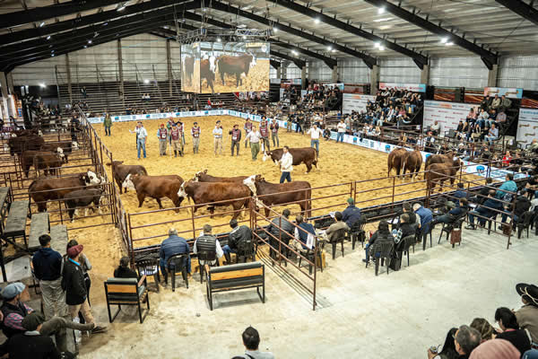 Soluciones para transformar la gestión del negocio ganadero en Las Nacionales Ganaderas 2026 de Corrientes