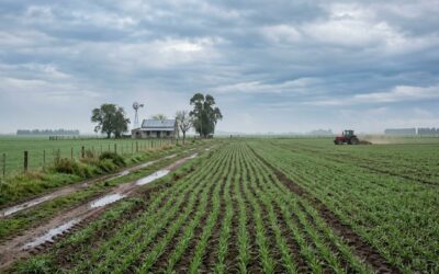 Frío, lluvias desparejas y riesgo de heladas: así seguirá el clima en el área agrícola