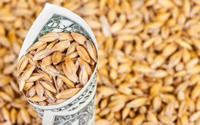 ¿Costo fiscal o devolución de capital?: el debate detrás de la baja de retenciones para los cereales de invierno