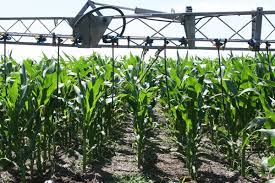 Fertilizantes más caros y con menor disponibilidad: el nuevo escenario global que desafía al agro argentino