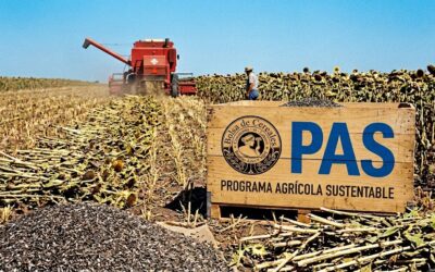 La Bolsa de Cereales dio por finalizada la cosecha 2025/26 de girasol con récord de máximos