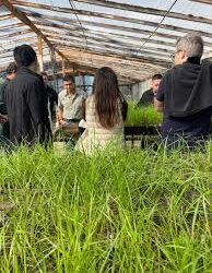 Nuevo herbicida para el control de malezas en trigo