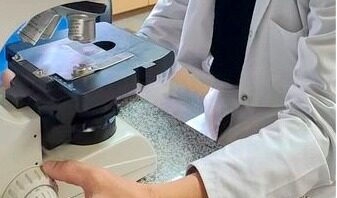 Con un hongo del suelo y residuos de brócoli, logran reducir hasta 98% de gusanos microscópicos que atacan cultivos de tomates