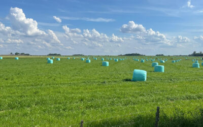 Histórico: Las exportaciones de alfalfa crecieron un 92% durante el primer trimestre de 2026