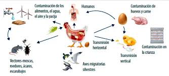 La Universidad Nacional de Luján premiada por un avance clave en seguridad alimentaria
