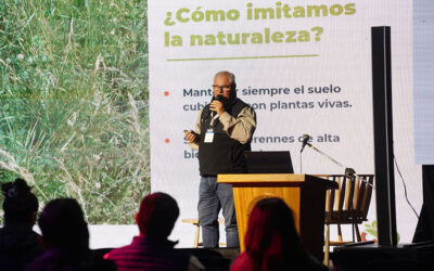 El tambo que se puso verde (y cobra por eso): cómo un campo lechero pasó a capturar carbono y ganar U$S 40 por hectárea