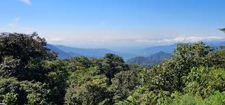 Comunidades kichwa lograron proteger su territorio gracias a la IA entrenada con miles de sonidos de la Amazonía ecuatoriana