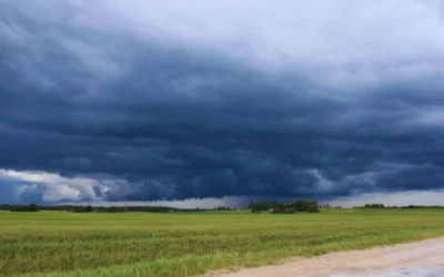 Anticiparse a los eventos climáticos, clave para el éxito productivo