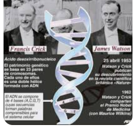 Edición genética en embriones: ¿El futuro de la medicina o un límite ético superado?