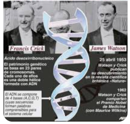 Edición genética en embriones: ¿El futuro de la medicina o un límite ético superado?
