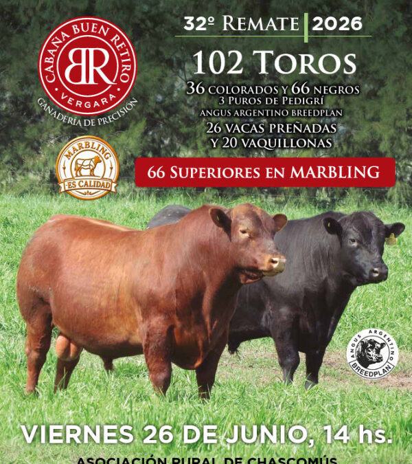 El marmoreo ya tiene su remate: Buen Retiro apuesta a la carne de calidad como el negocio del futuro