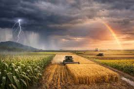 El clima semanal alternará calor moderado, tormentas muy desiguales y heladas generalizadas en el campo argentino