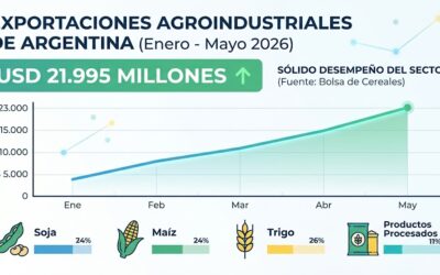 El sector agroindustrial argentino acelera su crecimiento: las exportaciones aumentaron un 17,1% en los primeros cinco meses de 2026 El sector agroindustrial argentino acelera su crecimiento: las exportaciones aumentaron un 17,1% en los primeros cinco meses de 2026