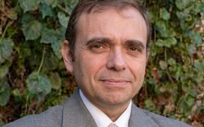 Desplome en los mercados: fuerte liquidación de fondos hunde los precios de los granos
