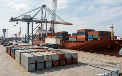 Récord exportador: Más de 200 productos agroindustriales explotan en el mercado mundial Récord exportador: Más de 200 productos agroindustriales explotan en el mercado mundial