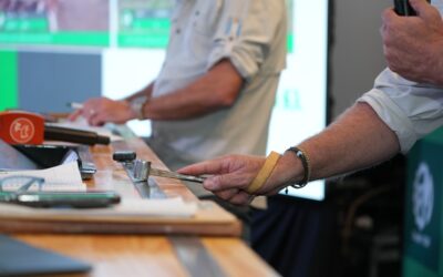 Banco Provincia organiza un remate de hacienda con tasa 0% en dólares y desde 12% en pesos