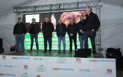 Más de 400 productores participaron de la Jornada a campo del IPCVA en 9 de Julio