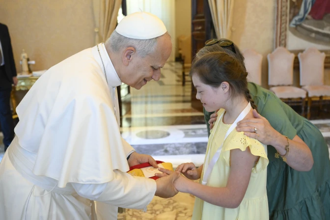 Papa León XIV advierte: Ningún médico debería permitirse jamás “decidir sobre la vida de un embrión”