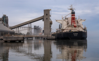 Los exportadores de maíz pagan un «premio» en Bahía Blanca y los precios quedan virtualmente libres de retenciones Los exportadores de maíz pagan un «premio» en Bahía Blanca y los precios quedan virtualmente libres de retenciones