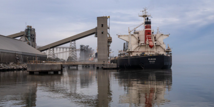 Los exportadores de maíz pagan un «premio» en Bahía Blanca y los precios quedan virtualmente libres de retenciones