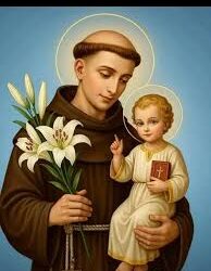 Ya empezó la novena a San Antonio de Padua, el gran hacedor de milagros en todo el mundo