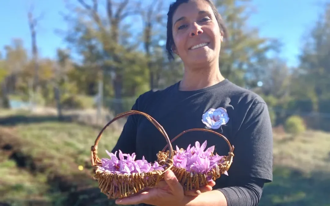 Cultivo del azafrán en la Patagonia: el viaje transformador de Paola Ahumada