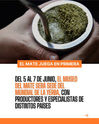 Del hábito al universo sensorial: todo lo que distingue a una yerba mate de otra Del hábito al universo sensorial: todo lo que distingue a una yerba mate de otra