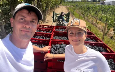 De abogados a vitivinicultores: cómo recuperaron un viñedo abandonado en la Patagonia y hoy elaboran vinos de alta gama De abogados a vitivinicultores: cómo recuperaron un viñedo abandonado en la Patagonia y hoy elaboran vinos de alta gama