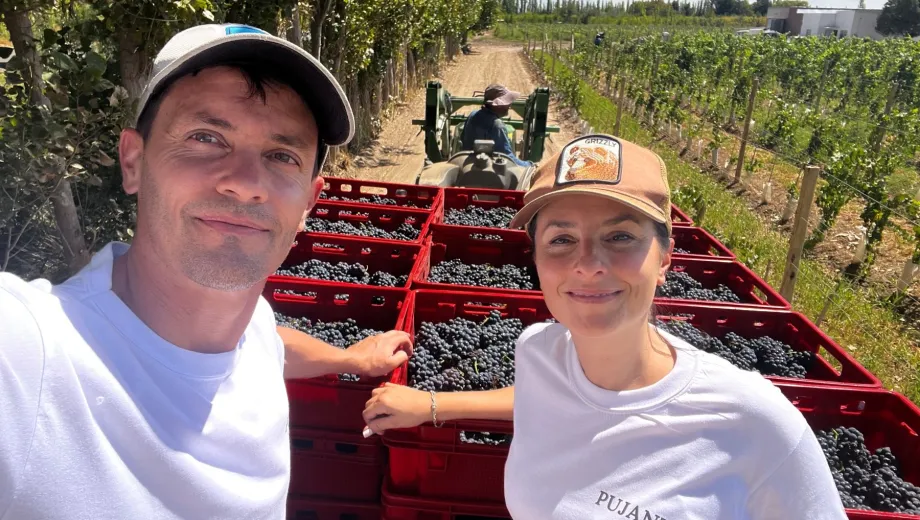 De abogados a vitivinicultores: cómo recuperaron un viñedo abandonado en la Patagonia y hoy elaboran vinos de alta gama