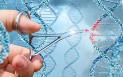 La ciencia da un paso histórico: editan genes de embriones humanos con precisión milimétrica