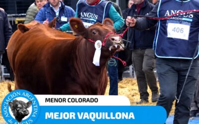 Güe Glen Sur, otra vez de fiesta en Palermo: el premio que confirma su apuesta a la genética Güe Glen Sur, otra vez de fiesta en Palermo: el premio que confirma su apuesta a la genética