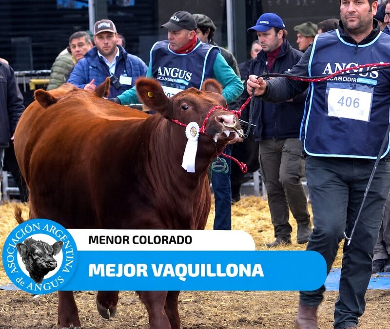 Güe Glen Sur, otra vez de fiesta en Palermo: el premio que confirma su apuesta a la genética